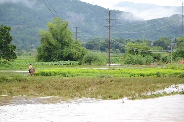 Lào Cai: Tập trung khắc phục thiệt hại do mưa lớn (04/07/2020)